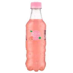 Aquarius Pomelo 300 ml